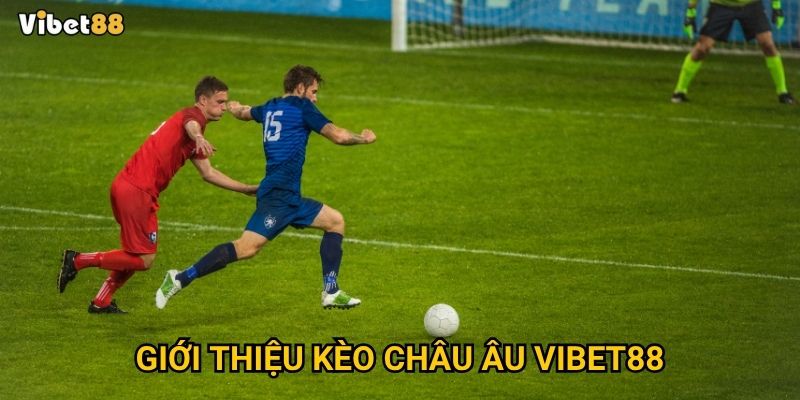 Chơi kèo châu Âu Vibet88 như thế nào để tăng cơ hội thắng lớn? 2 Giới thiệu kèo châu Âu Vibet88
