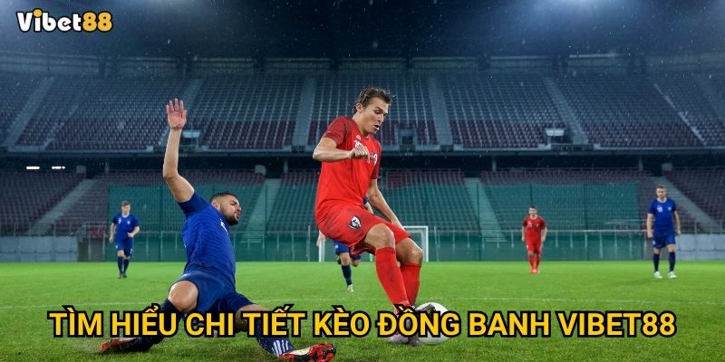 Kèo đồng banh Vibet88 có thực sự dễ thắng cho người mới chơi? 2 Tìm hiểu chi tiết kèo đồng banh Vibet88