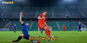 Kèo đồng banh Vibet88 có thực sự dễ thắng cho người mới chơi?