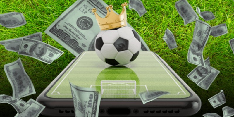 Cung cấp hoàn toàn miễn phí cho người dùng 